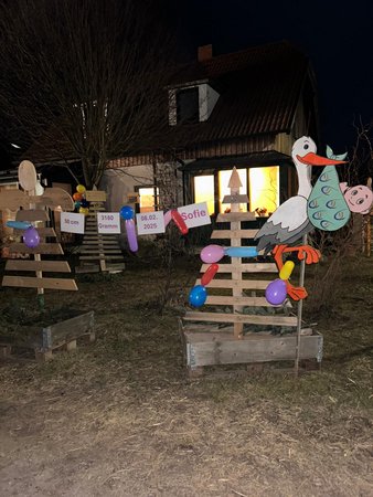 Der Lj Storch ist gelandet